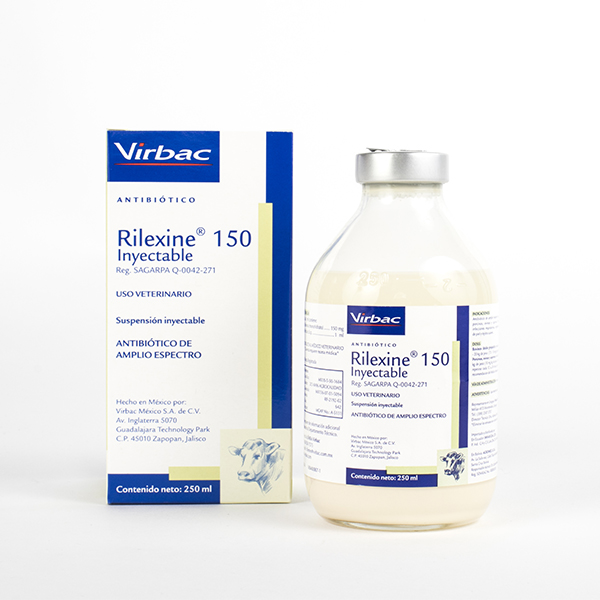 para qué sirve el antibiótico cefalexina